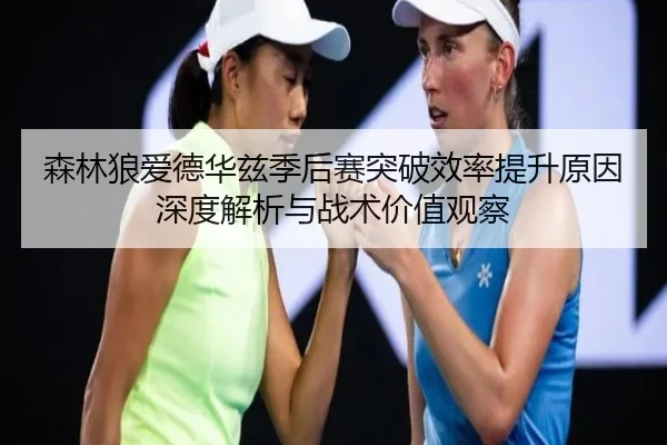 森林狼爱德华兹季后赛突破效率提升原因深度解析与战术价值观察